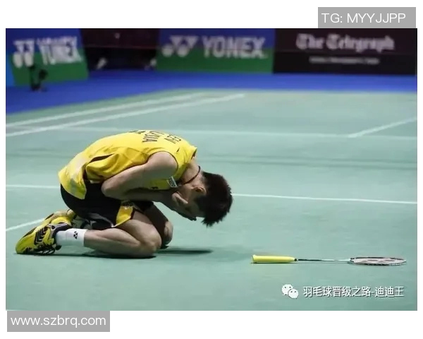 对话陈娜：回顾羽毛球生涯的辉煌与挑战之路