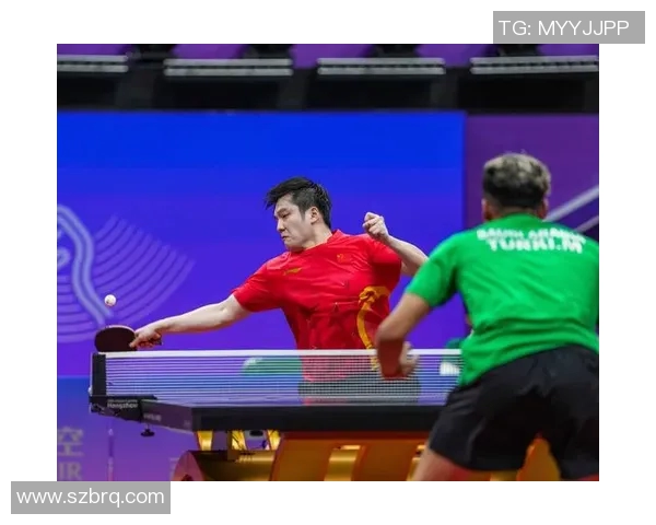 乒乓球专题：深入探讨杭州乒乓球队默契配合与战术创新之道