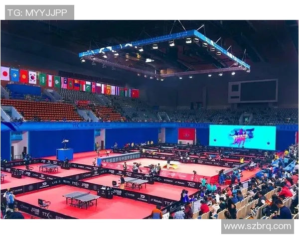 南京乒乓球队在奥运会背景下的转型与发展之路探索