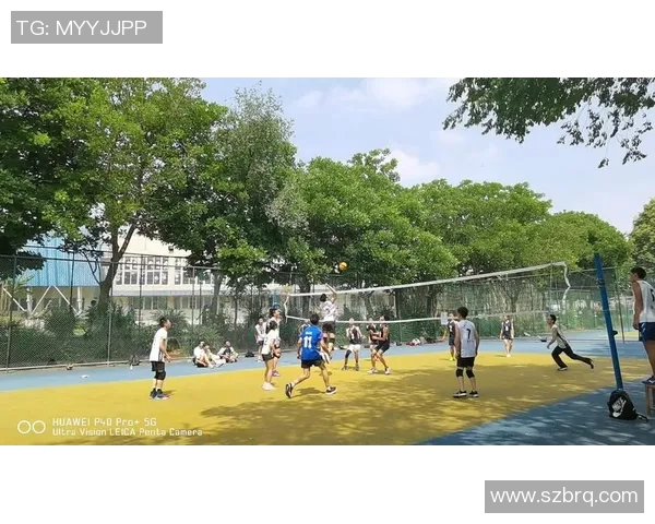 成都排球队的成长历程：从青涩起步到辉煌成就的纪实故事