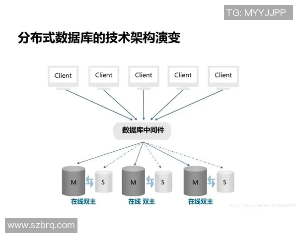 数据分析揭示IG团队配合表现的关键因素与提升策略