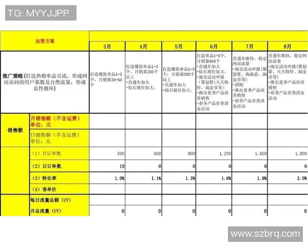 深入分析上海篮球队的运营策略与市场推广模式