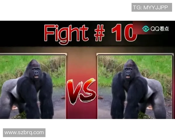 布林狮子与绿色吉利的巅峰对决谁能在这场较量中胜出