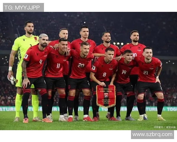 比利时与丹麦精彩对决回放分析及赛后点评