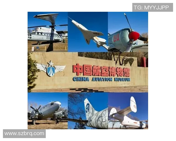 光州与釜山偶像之争探讨两地文化魅力与青年梦想的交汇点