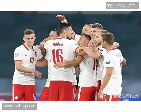 精彩回顾奥地利与波兰对决视频集锦全场亮点一网打尽 精彩回顾奥地利与波兰对决视频集锦全场亮点一网打尽