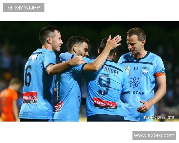 墨尔本胜利与惠灵顿凤凰对决前瞻分析及比赛结果预测