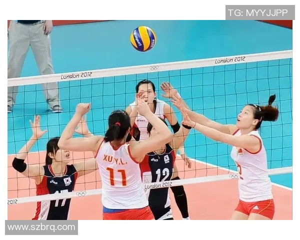 上海排球队个人能力引发热议球迷观点大相径庭