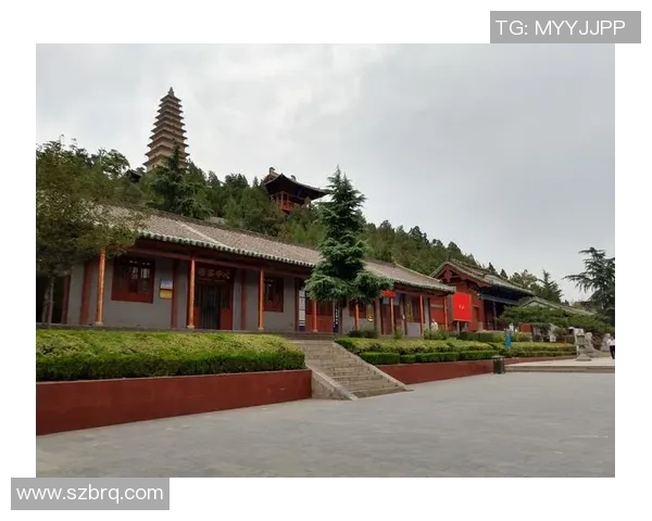 倪永康的政治生涯与影响力探讨:从官场风云到历史评价的全景分析