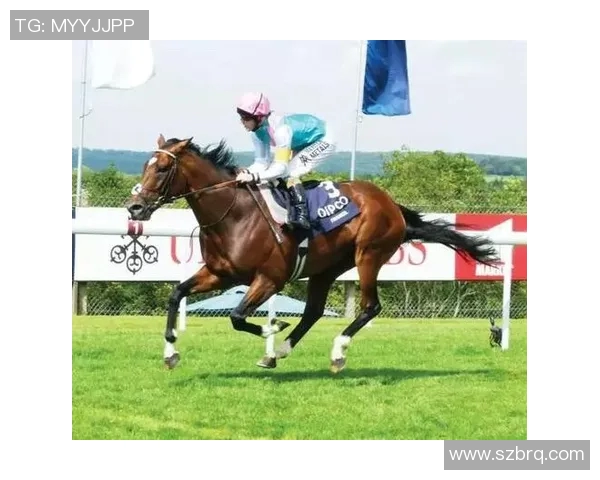 天空与风暴的激烈对决比分直播全程跟踪实时更新 天空与风暴的激烈对决比分直播全程跟踪实时更新