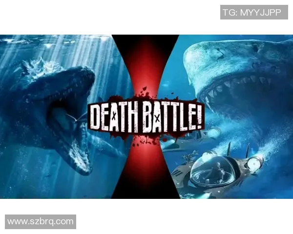 喷射机与南部鲨鱼的惊险对决谁能在海洋中称霸