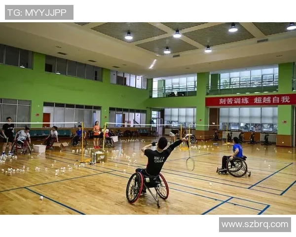 杭州羽毛球队的控制革新探索与实践:提升竞技水平的新路径分析 杭州羽毛球队的控制革新探索与实践:提升竞技水平的新路径分析