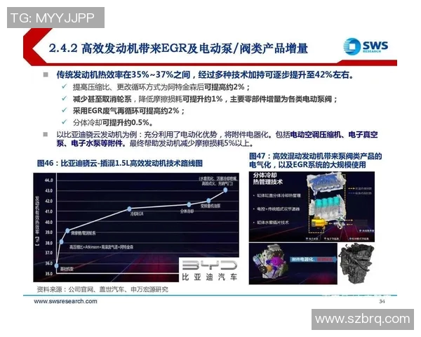 数据分析揭示杭州排球队心理素质表现的关键因素与提升策略