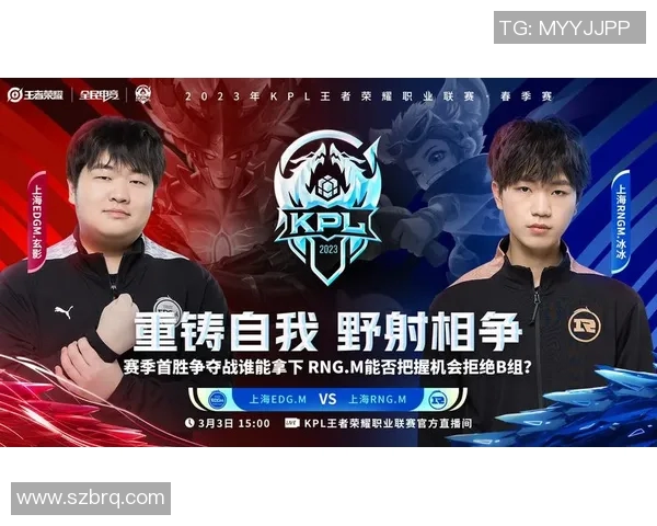 王者荣耀战术排行榜揭晓RNG战队意外跻身第十名引发热议